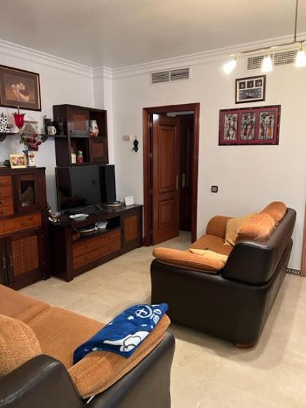 Apartment Setas